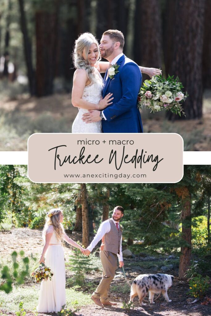 Top picture of a bride and groom embracing in a forest, bottom picture of a woman in a white dress holding hands with a man in a tan suit walking an Australian Sheppard with overlay text reading "micro + macro Truckee wedding".